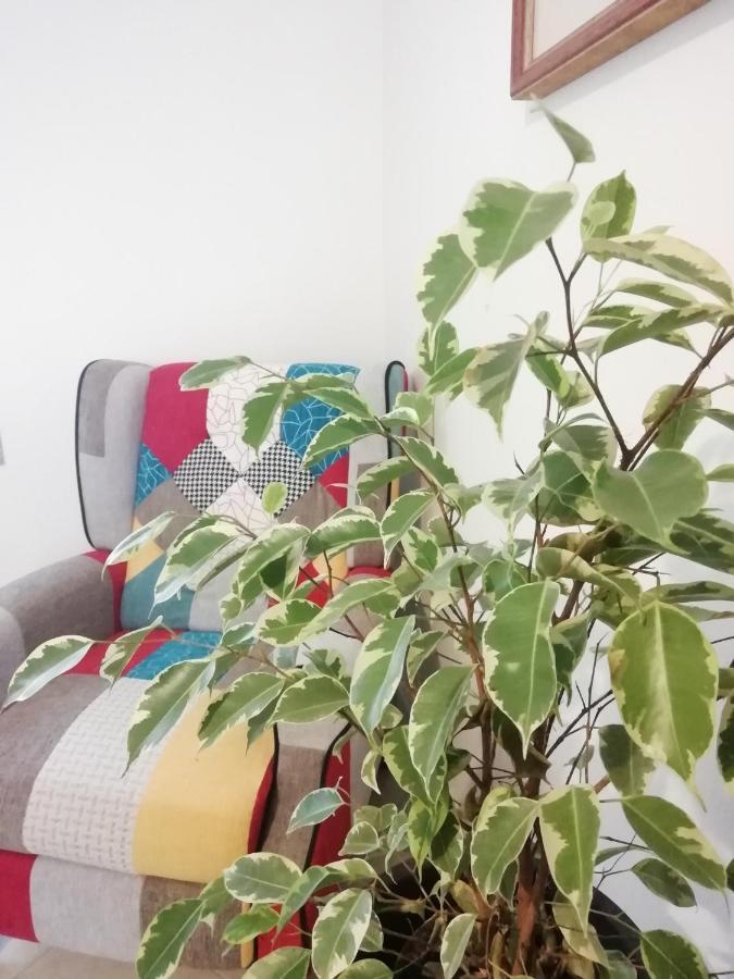 科马基奥Casa Bellini别墅 外观 照片